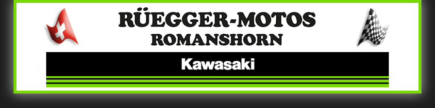 Motorräder | Kawasaki-Modelle 2024 | Dieses Bild zeigt unser Logo